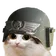 kitty40k