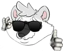 Pattersoncool