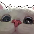 Curious_cat_112