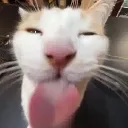RosaditaBleh