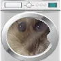 hampterwashingmachine