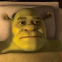 Shrek_sadly Discord Emoji
