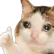 sadCatThumbsup sadCatThumbsup