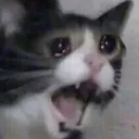 AA