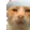 huhhchristmas
