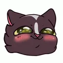 skrunklycat Discord Emoji