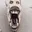 nigfish