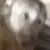 ome