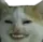 hehe
