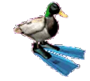 duckyfuzz duckyfuzz