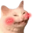 BlushCat
