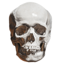 skull Discord emoji