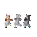 giphy2