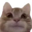 catsmirk