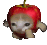 Catapple Discord Emoji