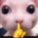 bingusshhhhh