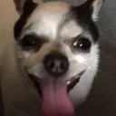 X_JackHappy Discord Emoji