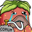 braryCopium