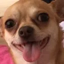 X_MavisHappy Discord Emoji