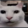 michi