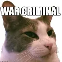 Z_committing_war_crimes