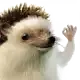 hahayes2