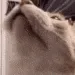 catBlast