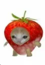strawberry_cat Discord Emoji