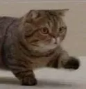 you