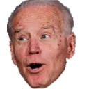 biden_pog