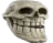 SkullTroll