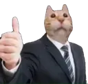 normalmanthumbsup