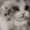 cuteCAT cuteCAT