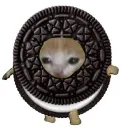 oreo_cat Discord Emoji