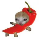 pepper_cat Discord Emoji