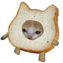 Bread Cat Discord Emoji