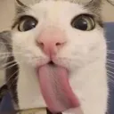 sillymaxxed