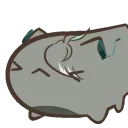 HaiCatNope