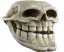 Troll Skull trollskull Discord Emoji