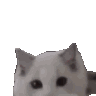 xx_gifcatkiss Discord emoji