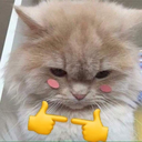 xx_kittyshy Discord emoji