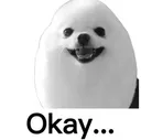 Okay Okay