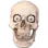 skul