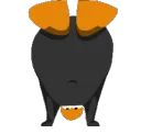 clubpingu clubpingu