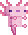 axolotl13