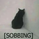 Cat Sob cat_sob Discord Emoji