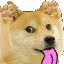 doge_tease