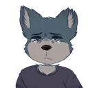 wolfemotes5min