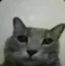 muh