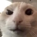 catHUH